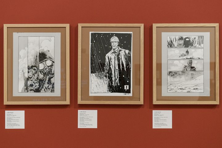 Quelques planches issues de "La mort blanche" de Charlie Adlard présentées au Musée d'art contemporain de Lyon&nbsp; (MAXIME JEGAT / MAXPPP)