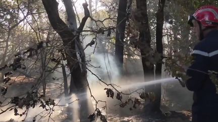 Incendies dans le Morbihan : les feux sont fixés, des centaines d'hectares brûlés