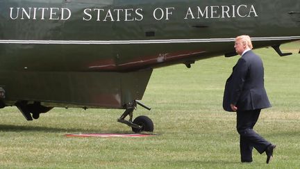 Le président américain, Donald Trump, le 20 juillet 2018 à Washington (Etats-Unis).&nbsp; (MARCUS TAPPAN / AFP)