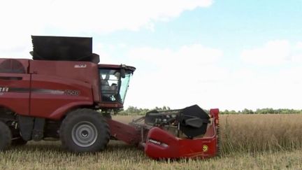 La guerre en Ukraine "n’est pas une bonne nouvelle pour la sécurité alimentaire mondiale", explique le président d’Action Contre la Faim