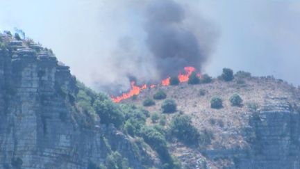 Incendies en Ardèche : six avions et 600 pompiers affrontent le feu (FRANCEINFO)