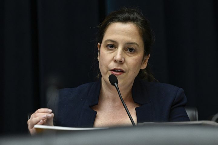 Elise Stefanik, le 23 mai 2024, au Congrès à Washington (Etats-Unis). (CELAL GUNES / AFP)