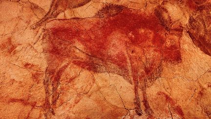 Quelques visiteurs vont pouvoir de nouveau voir les bisons de la grotte d'Altamira en Espagne.
 (Gianni Dagli Orti / The Art Archive / The Picture Desk / AFP)