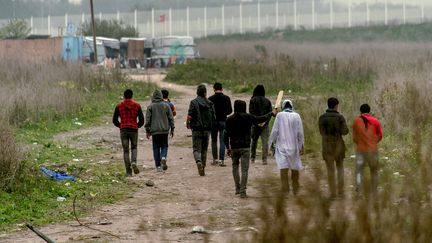 Des migrants à Calais (Pas-de-Calais), le 1er novembre 2016. (PHILIPPE HUGUEN / AFP)