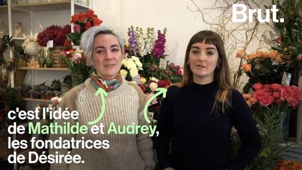 Brut a rencontré Mathilde et Audrey, fondatrices de la boutique Désirée. Conscientes de l'impact environnemental de certaines façons de consommer les fleurs, elles prônent une véritable transparence vis-à-vis de leurs clients.