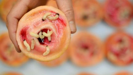 A l'occasion d'Halloween, une patisserie propose des g&acirc;teaux peu ragoutants pour sensibiliser les consommateurs sur les maladies et pathologies &agrave; Londres (Royaume-Uni), le 25 octobre 2012. (BEN STANSALL / AFP)