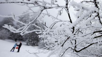 Allemagne, Schmitten, le 26 janvier 2012. (KAI PFAFFENBACH / REUTERS)