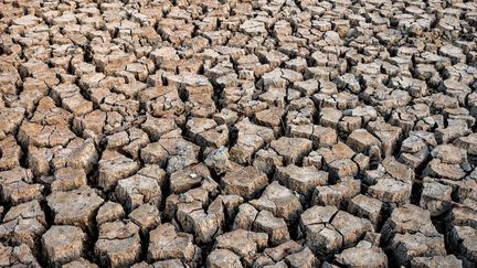 Le sol craquelé en raison d'une sécheresse à Millas, dans les Pyrénées-Orientales, le 16 janvier 2024. (JC MILHET / HANS LUCAS / AFP)