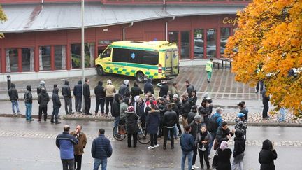  (L'école attaquée se situe à Trollhattan, au nord de Göteborg © REUTERS/Bjorn Larsson Rosvall/TT News Agency)