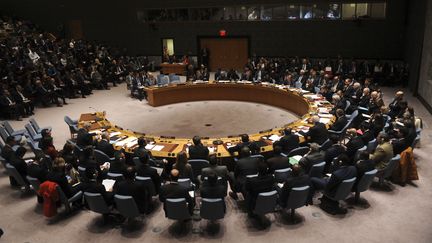 Le Conseil de sécurité de l'ONU lors d'une réunion à New York (Etats-Unis), le 18 décembre 2015. (DENNIS VAN TINE / GEISLER-FOTOPRES / AFP)