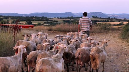 Sur le Plateau du Larzac le 8 juillet 2015. (MAXPPP)