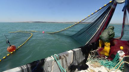 Un bateau-pêcheur au large des côtes de Gruissan. (ERIC CABANIS / AFP)