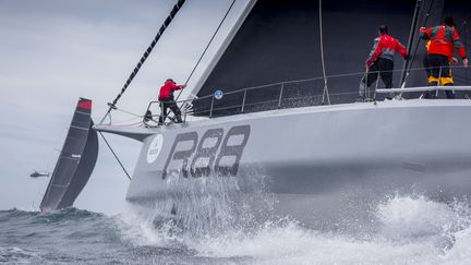 Comanche (KURT ARRIGO / ROLEX)