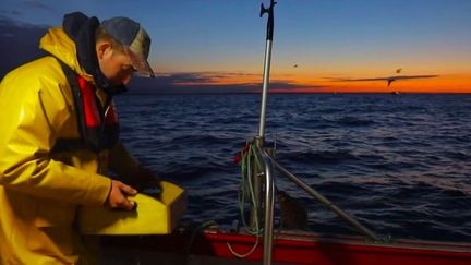 Noël et fêtes de fin d’année : le grand rush des pêcheurs de crevettes