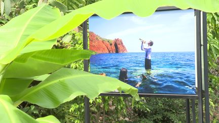 Exposition "Symphonie sous-marine" de Benoît Barbagli à la citadelle de Villefranche-sur-Mer (Alpes-Maritimes) jusqu'au 22 septembre 2024. (FRANCE 3 COTE D'AZUR)