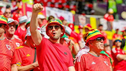 Supporters gallois lors du match contre l'Iran lors de la Coupe du monde de football au Qatar, le 25 novembre 2022 (NIGEL KEENE / PROSPORTSIMAGES)