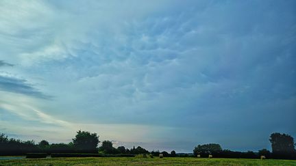 Ces fumées peuvent se voir à l'œil nu lorsque la concentration est importante mais "il n'y a pas de couleur particulière" indique Météo-France. Photo d'illustration. (AURELIEN BREAU / MAXPPP)