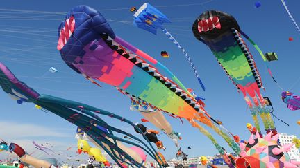 Les 35èmes Rencontres Internationales de Cerfs-Volants se tiennent à Berck-sur-Mer du 23 avril au 1er mai 2022. (VILLE DE BERCK-SUR-MER)