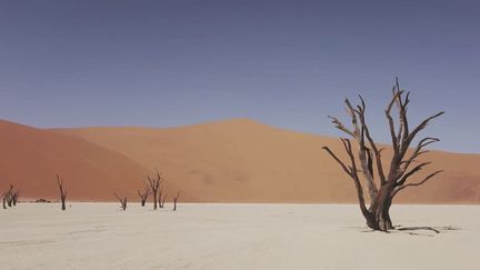 En Namibie, le plus vieux désert du monde offre ses hauteurs et ses paysages extraterrestres aux visiteurs