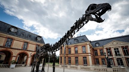 Un squelette de dinosaure, nommé Vulcain, exposé au château de Dampierre-en-Yvelines avant une vente aux enchères, le 10 juillet 2024. (STEPHANE DE SAKUTIN / AFP)