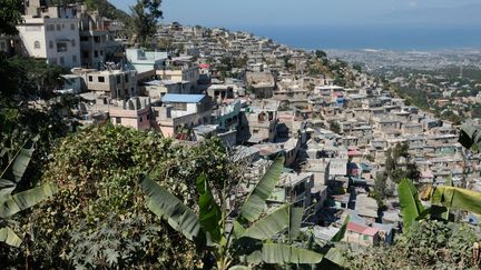 Haiti dans les hauteurs autour de Port-au-Prince qui se trouve en bas vers la mer. (NATHANAEL CHARBONNIER / FRANCE-INTER)