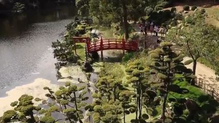 Maine-et-Loire : à la découverte du parc japonais de Maulevrier