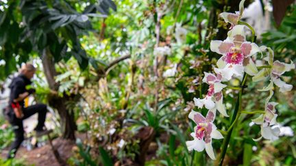 Le boom des jardins partagés