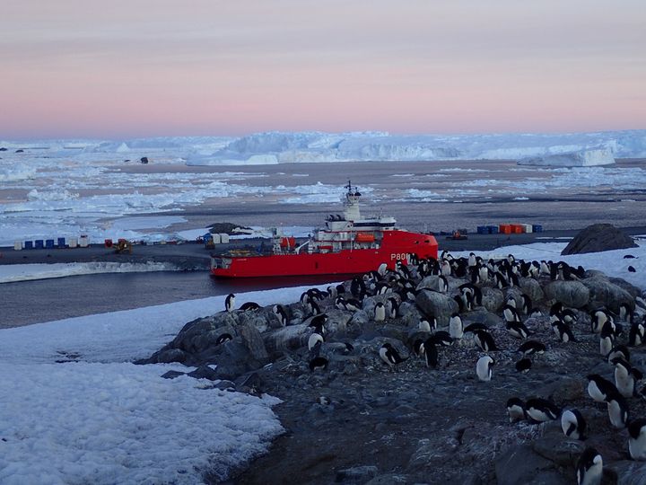 L'"Astrolabe"the polar ship of the French Southern and Antarctic Lands (TAAF), in 2018. (SERGE BEGON / IPEV)