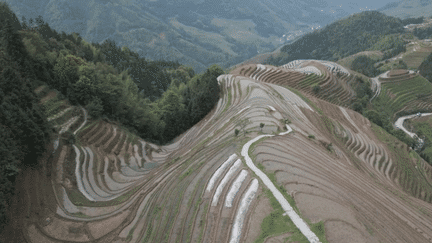 Chine : Guilin, une région hors du temps (FRANCE 2)