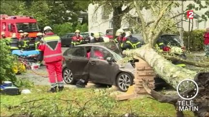 Allemagne : une tempête cause le décès de 7 personnes