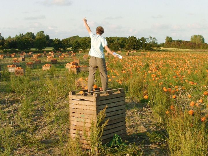 The preacher of pumpkins, 2006
 (Jean Bonichon)