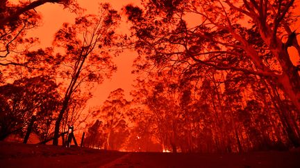 Un ciel rouge à cause des incendies près de Nowra, en Australie, le 31 décembre 2019. (SAEED KHAN / AFP)