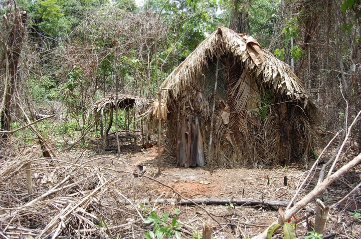 Un homme vit seul au milieu de la forêt amazonienne à l'Ouest du Brésil depuis 22 ans. Photo non datée. (ASCOM-Funai)