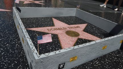 &nbsp; (Plastic Jesus a érigé un mur de quinze centimètres autour de l'étoile de Donald Trump à Los Angeles © Mark Ralston / AFP)