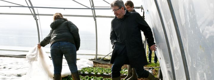 Jean-Luc Mélenchon, ici le 27 février 2017 dans une ferme bio de l'Oise, propose d'appliquer la règle verte.&nbsp; (FRANCOIS LO PRESTI / AFP)