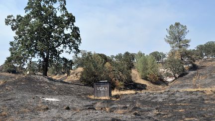 Les Etats-Unis, c'est par l&agrave; ... Sur une propri&eacute;t&eacute; br&ucirc;l&eacute;e en Californie, un panneau o&ugrave; est inscrit USA avec une fl&egrave;che. Des centaines de pompiers combattent toujours le feu en Californie. (JOSH EDELSON / AFP)