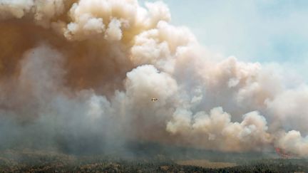 Au 1er juin 2023, les autorités du pays annoncent que plus de 2,7 millions d'hectares ont brûlé au Canada depuis le début de l'année, soit huit fois plus que la moyenne des 30 dernières années. (HANDOUT / NOVA SCOTIA GOVERNMENT / AFP)