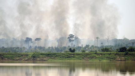 Une zone brûlée dans la forêt amazonienne au parc national de Mapinguari à Porto Velho, dans le nord du Brésil, le 1er septembre 2022. (DOUGLAS MAGNO / AFP)