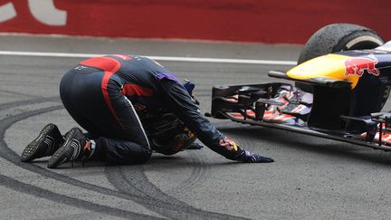 Le pilote Red Bull, Sebastian Vettel c&eacute;l&egrave;bre sa victoire au Grand Prix de formule 1 d'Inde et son quatri&egrave;me titre de champion du monde &agrave; New Delhi, le 27 octobre 2013. (PRAKASH SINGH / AFP)