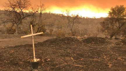 Au moins 31 personnes sont mortes dans les incendies qui ravagent la Californie depuis la semaine passée. (GREGORY PHILIPPS / RADIO FRANCE)