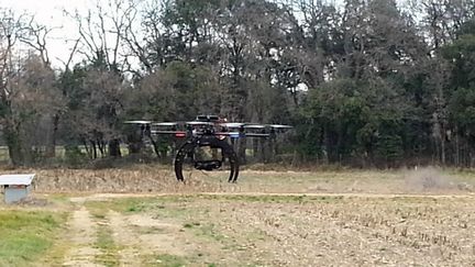 &nbsp; (Un test de drones sur les champs de l’Irstea de Montpellier © Anne-Laure Barral / Radio France)