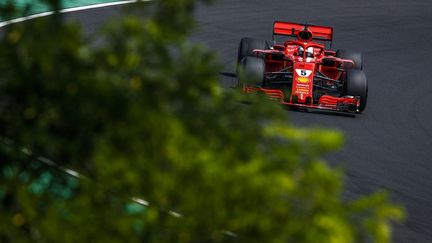 Sebastian Vettel au volant de sa Ferrari (FLORENT GOODEN / DPPI MEDIA)