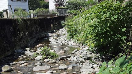 La Thur presque à sec dans le village de Wildenstein (Haut-Rhin), le 2 août 2018. (MAXPPP)