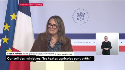 DIRECT. "C'est dans ces tempêtes que chacun doit prendre ses responsabilités", déclare la porte-parole du gouvernement à l'issue du premier Conseil des ministres