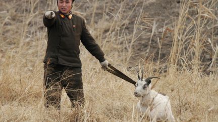 Un soldat nord-cor&eacute;en prom&egrave;ne une ch&egrave;vre sur l'ile de&nbsp;Hwanggumpyong (Cor&eacute;e du Nord), le 23 janvier 2014. (JACKY CHEN / REUTERS)