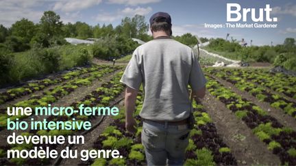 Une ferme à "échelle humaine" et rentable, c'est ce qu'a créé le québécois Jean-Martin Fortier. Et il souhaite montrer qu'une révolution agricole est possible. Rencontre.