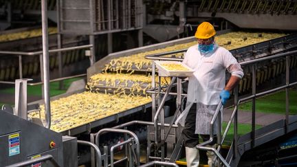 Une chaîne de production dans l'usine McCain de Matougues (Marne), le 22 mai 2019. (MARTIN BUREAU / AFP)