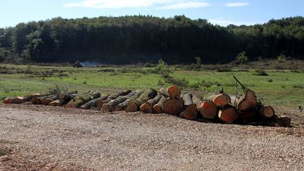 &nbsp; (Le site du barrage de Sivens a déjà été déboisé © MAXPPP)