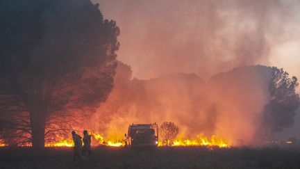 Firefighters intervene on an ongoing fire in Argelès-sur-Mer, in the Pyrénées-Orientales, on August 14, 2023. (IDHIR BAHA / HANS LUCAS / AFP)