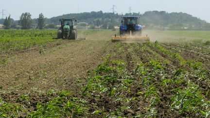 &nbsp; (En 2020, ils ne seront plus que 872.000 agriculteurs © Maxppp)